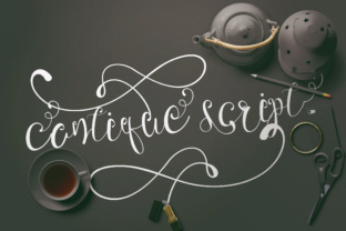 Cantique Script: Evaluating Its Fit for Design Projects