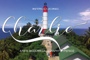 Charlie: Mastering Naldy Studio’s Smooth Calligraphy Font Without the Common Pitfalls