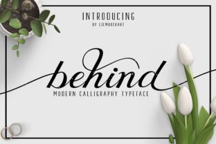 Exploring the Artistry of Behind: A Handmade Calligraphy Font with Over 500 Decorative Characters