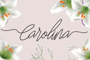 The Quiet Grace of Carolina: A Fine Monoline Script for Modern Design
